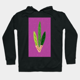 Lulav Magenta Print Hoodie